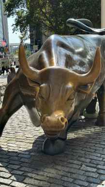 CHARGING BULL NEW YORK
