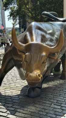 Charging bull New York Wall st.