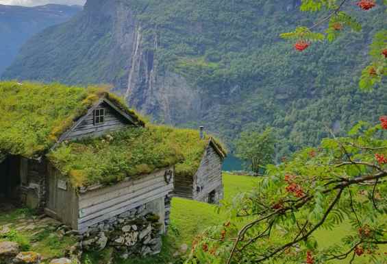 Skagfela Norveska hiske