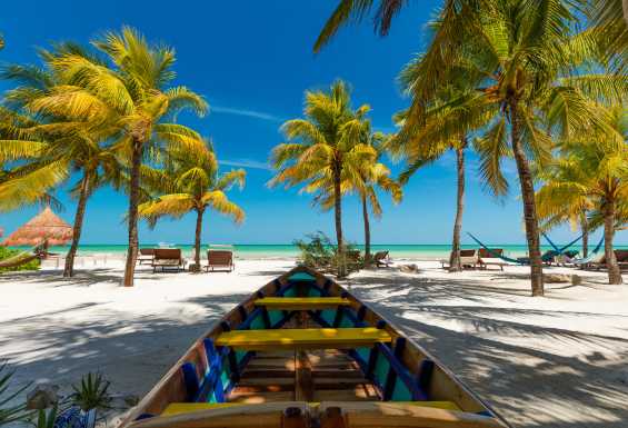 Palme na plazi Holbox