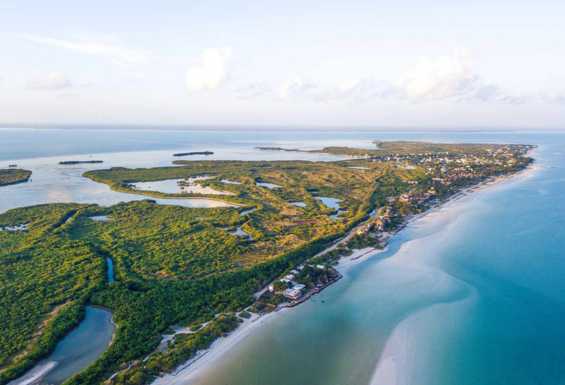 Holbox pticja perspektiva