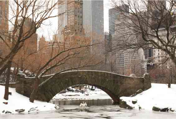 New York Central Park most