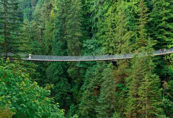 Capilano Bridge Vancouver