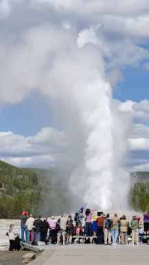 Old Faithfull Yellowstone