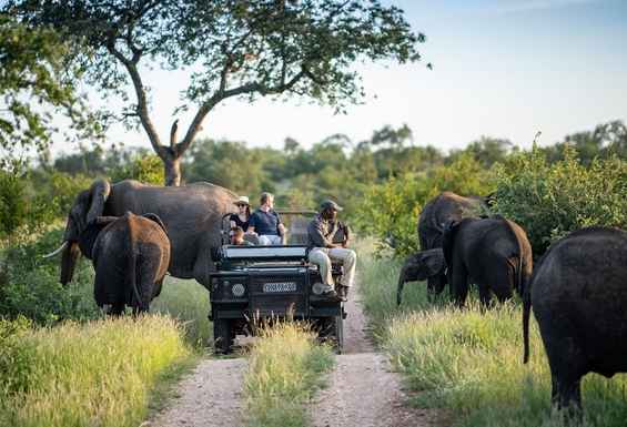 Safari potovanje Afrika Condor Travel
