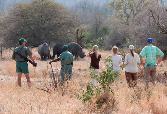Rhino Walk Zambija safari potovanje Condor Travel