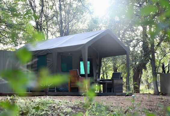 Safari kamp Kruger glamping