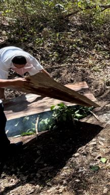 Tamales owen under ground in Mexico