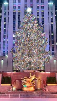 New York Bozicno drevo