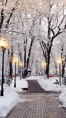 New York central park v snegu